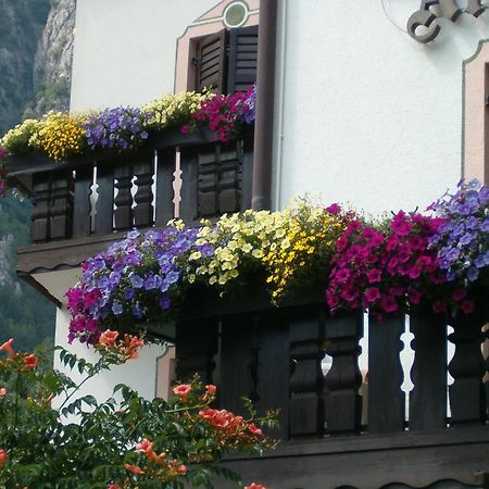 Hotel Stella Alpina Fai della Paganella Zewnętrze zdjęcie