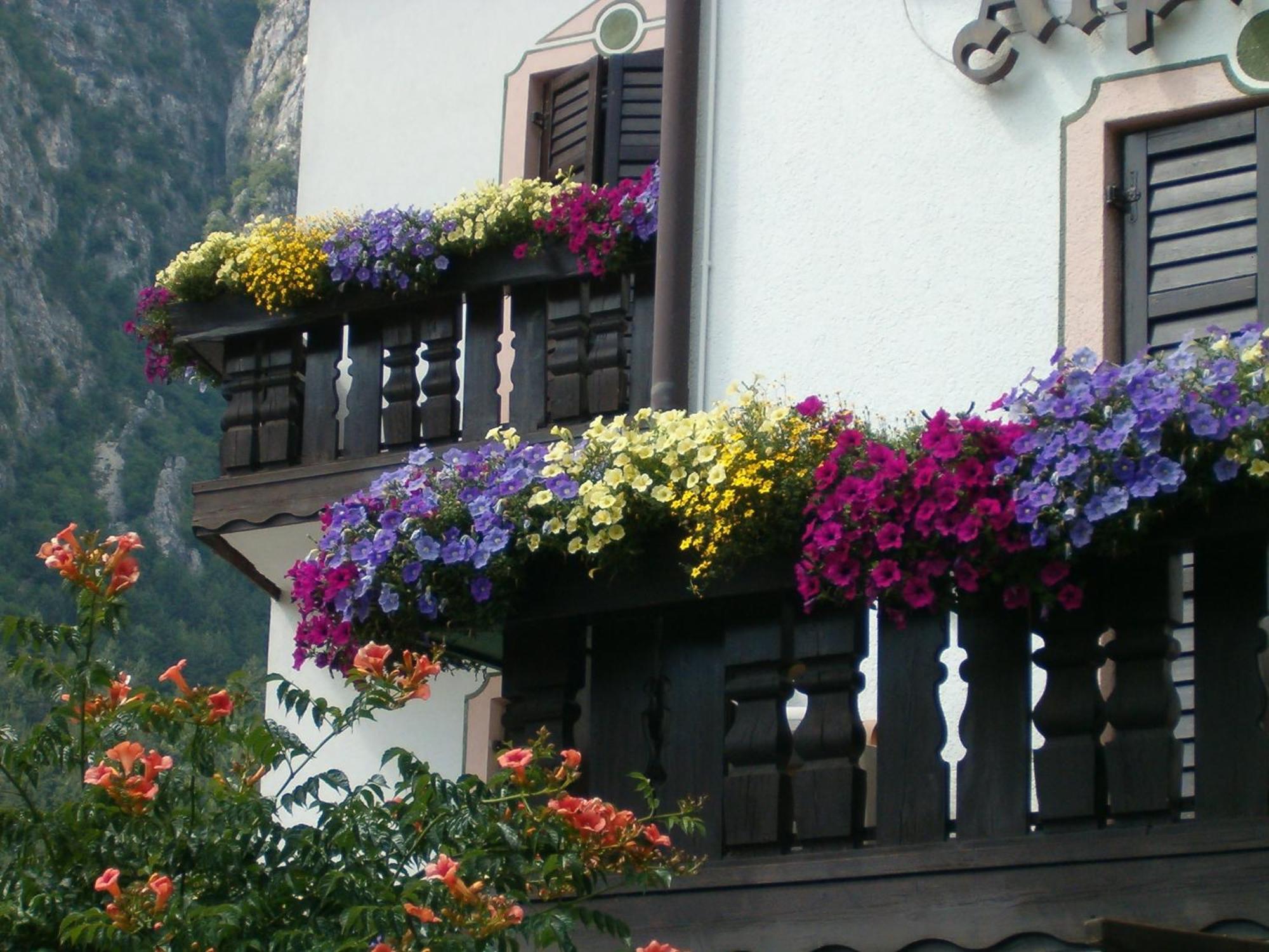 Hotel Stella Alpina Fai della Paganella Zewnętrze zdjęcie